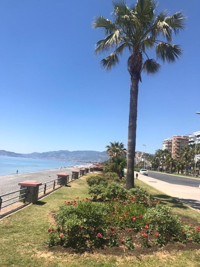 Empire Residence Alanya/Mahmutlar 50M От Моря Zewnętrze zdjęcie
